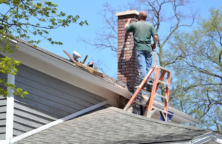 Chimney & Fireplace Inspections Services in Olive Branch, MS